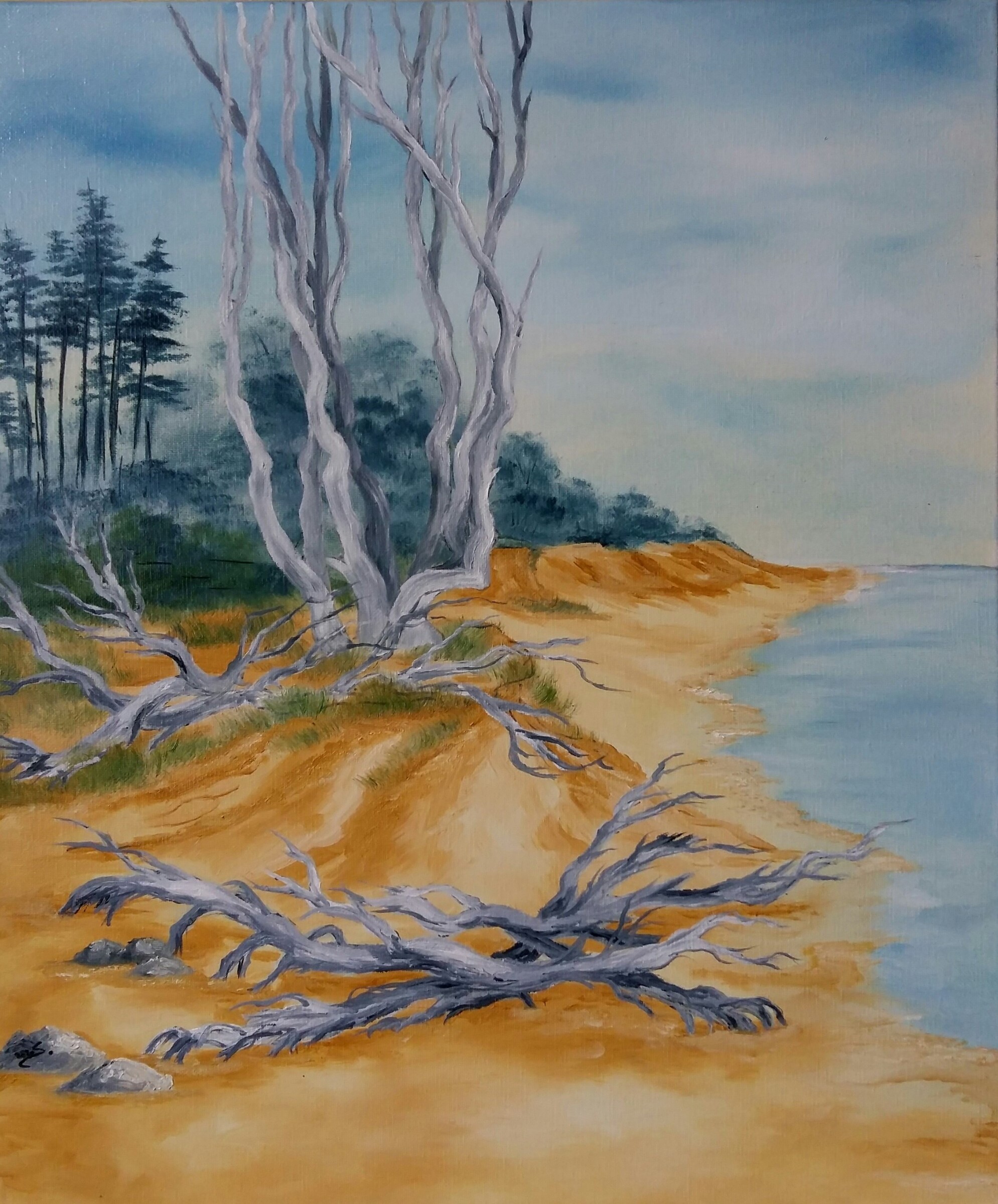 82 Weststrand Darß 50x60 cm Öl auf Leinwand mit Rahmen