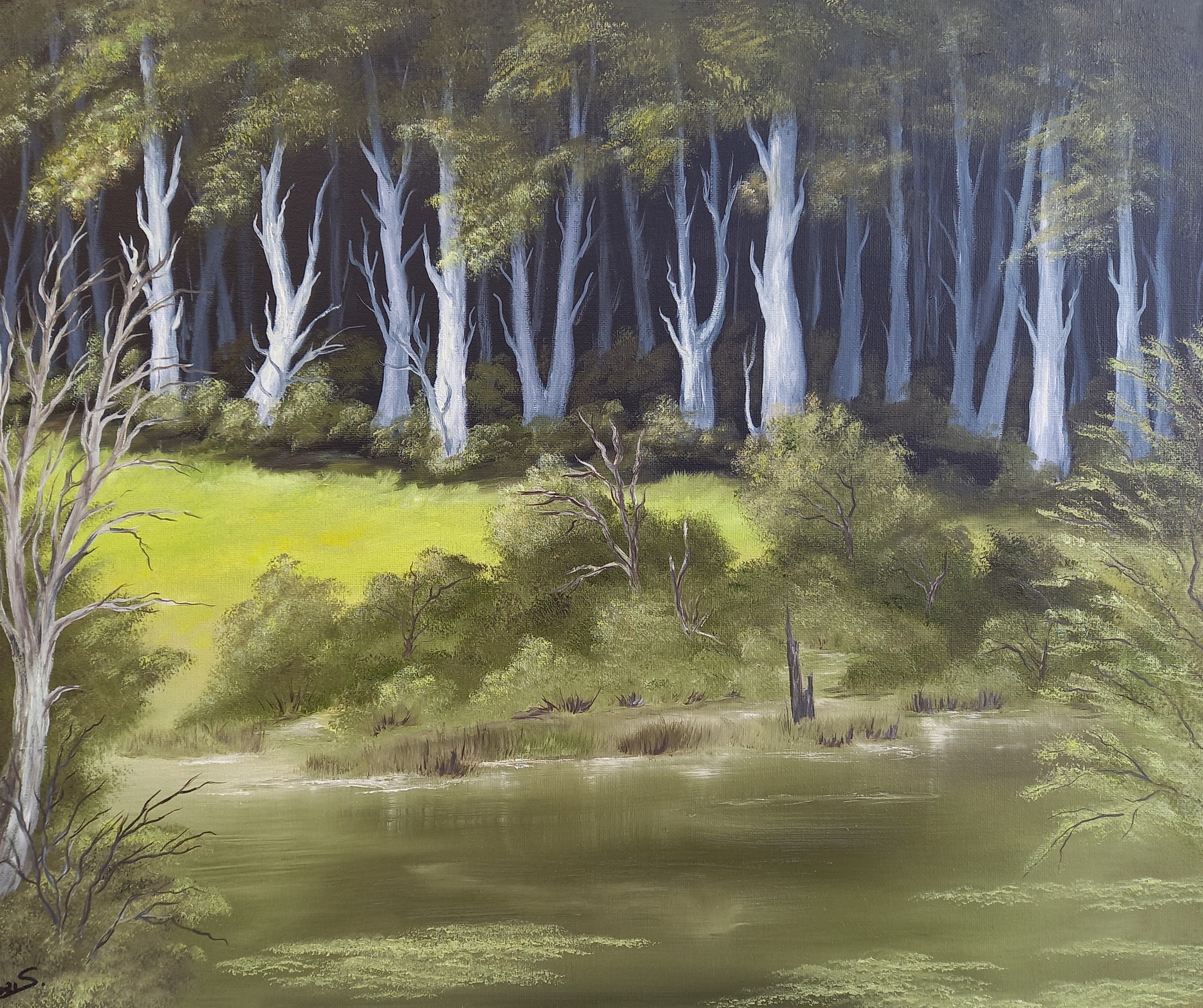 74 Am Waldsee 50x60 cm Öl auf Leinwand mit Rahmen