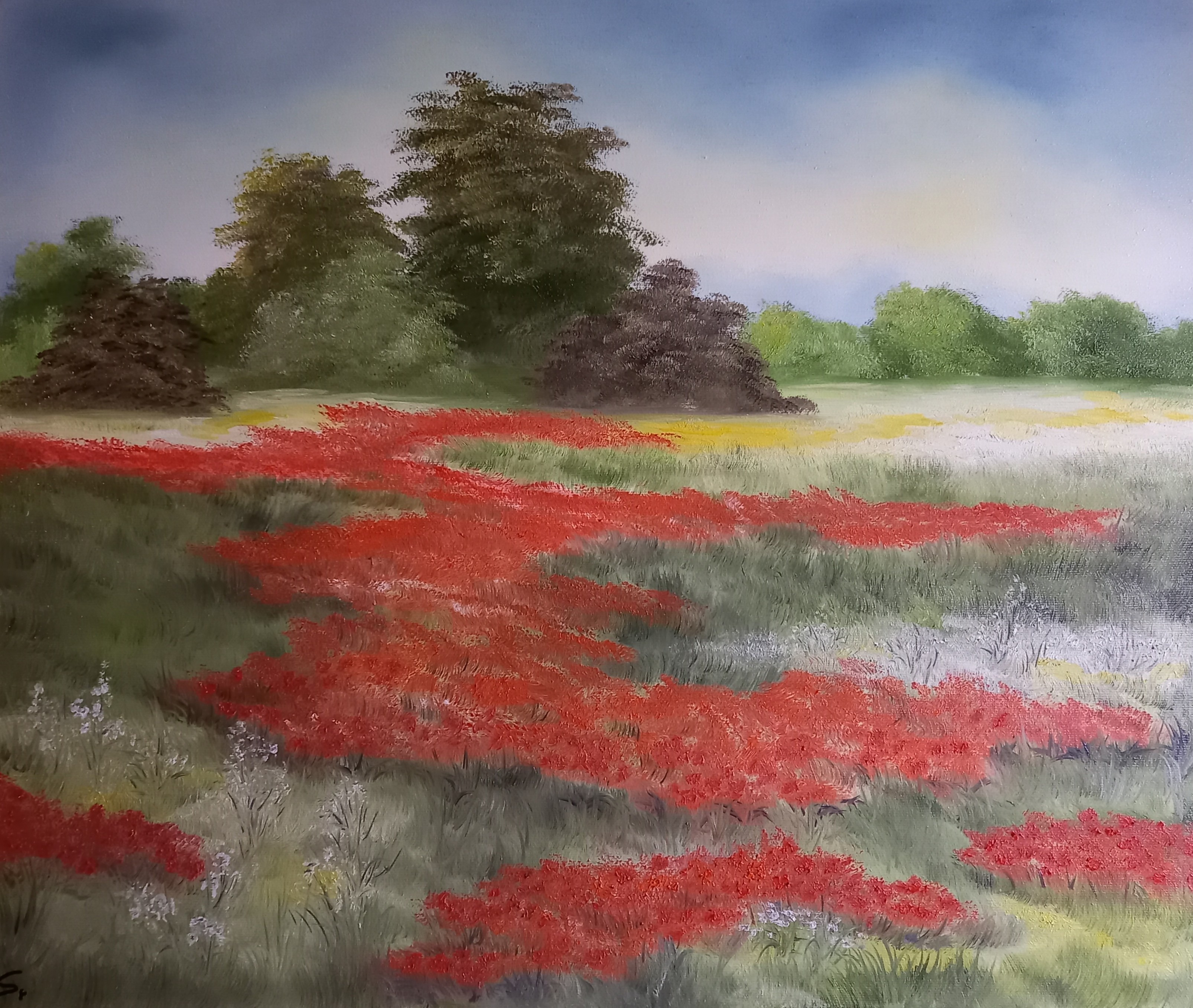 103 Mohnwiese 50x60 cm Öl auf Leinwand