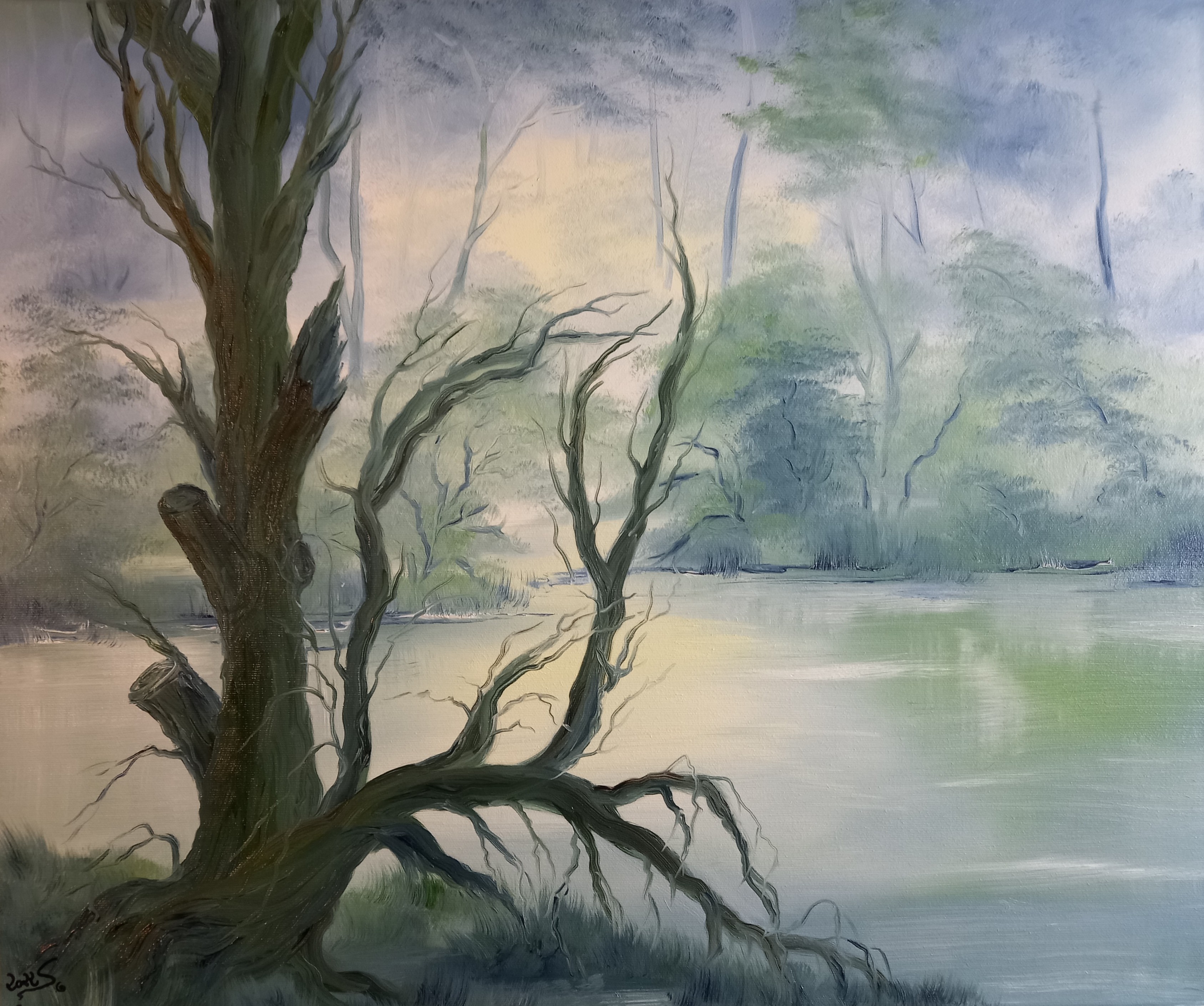 148 Alter Baum am See 50x60 cm Öl auf Leinwand mit Rahmen