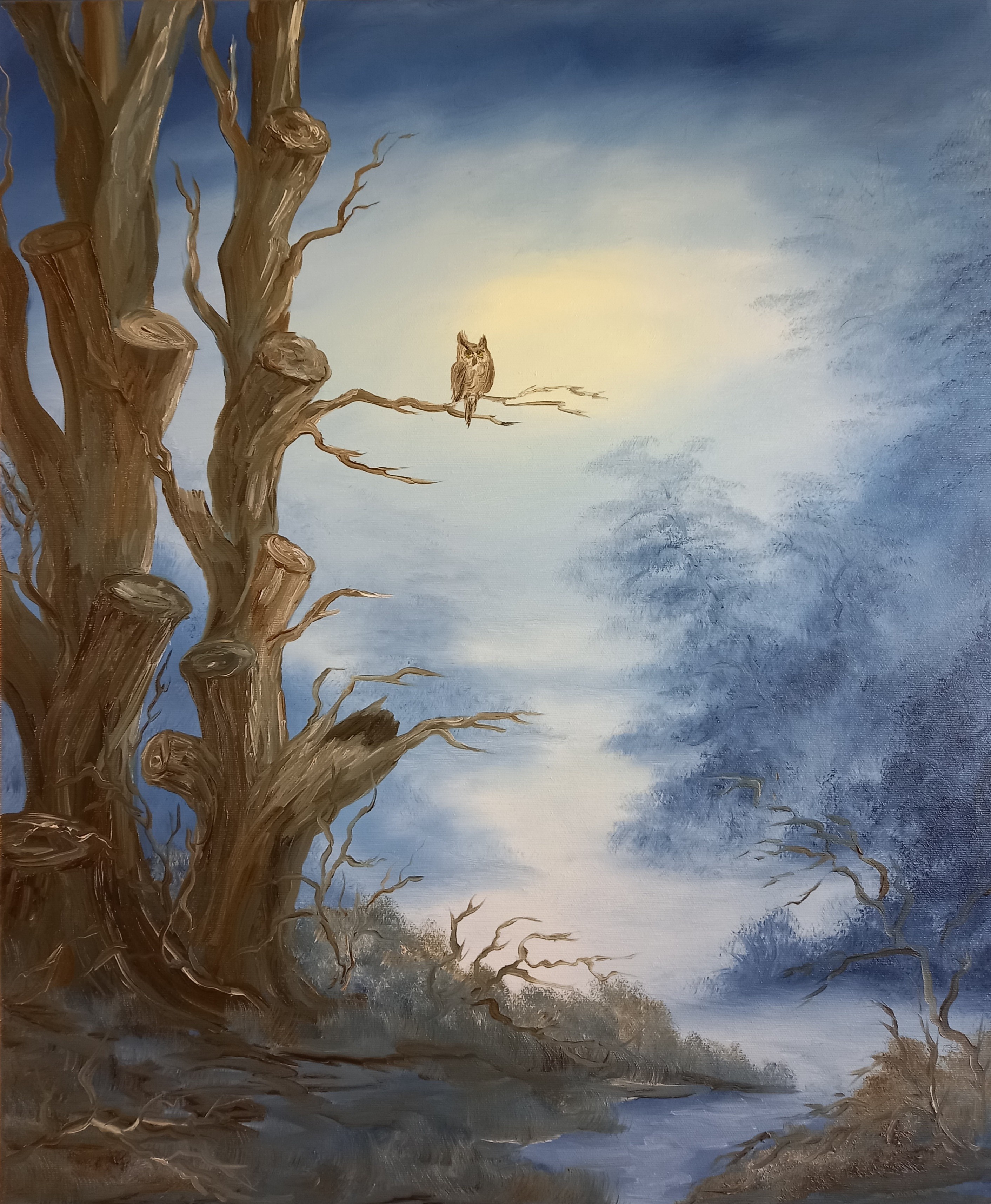 144 Eulenbaum 50x60 cm Öl auf Leinwand