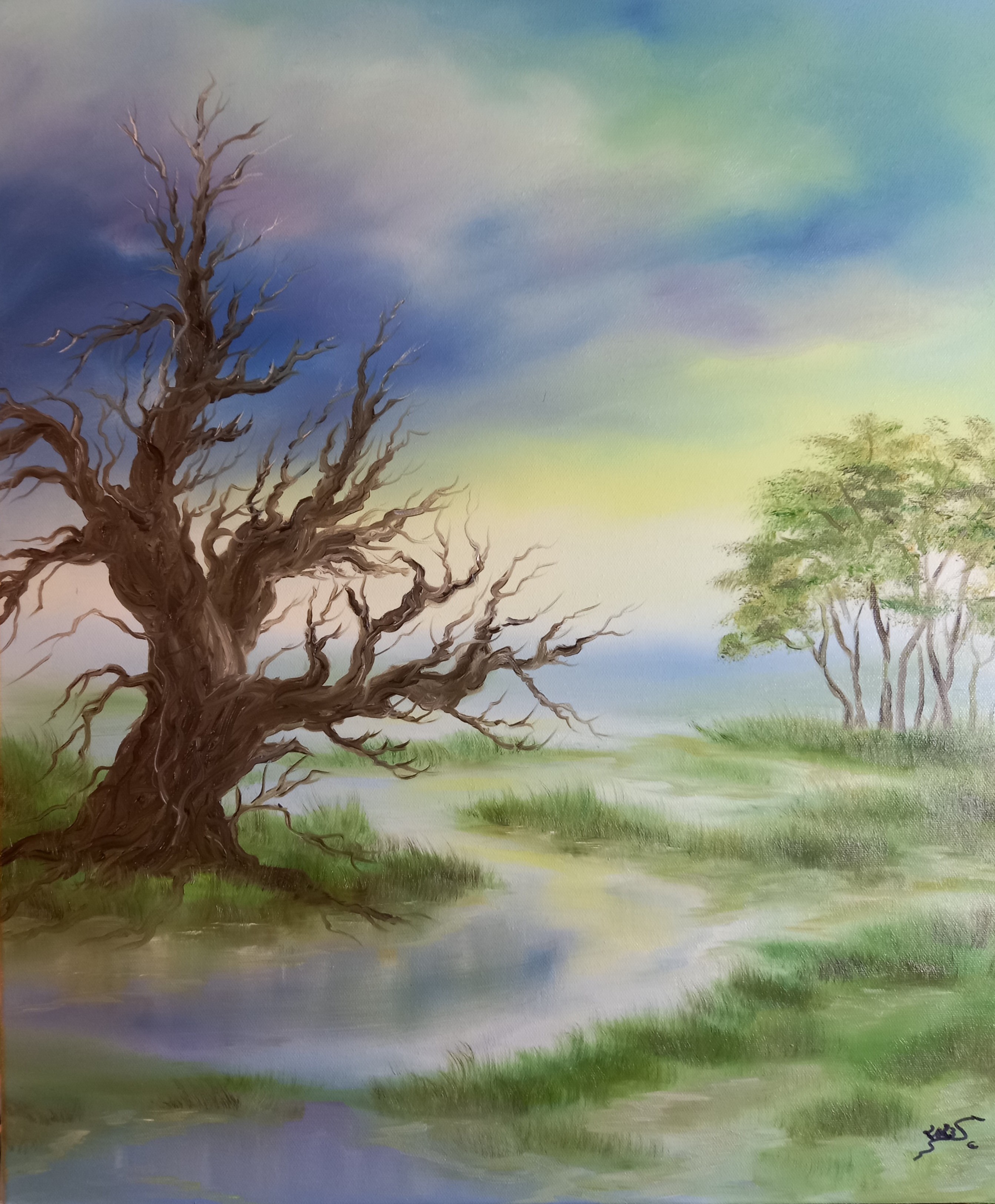 156 Baumzauber 50x60 cm Öl auf Leinwand